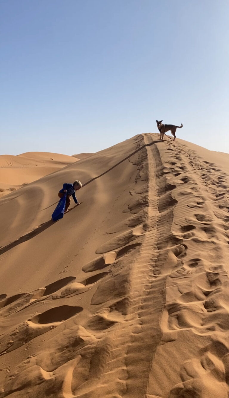 Taking your van and your dog to Morocco – everything you need to know